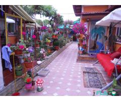 Inchiriez la casa. - Imagine 2/3