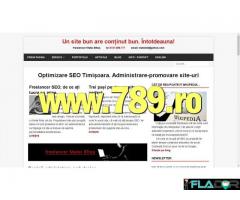 Optimizare SEO Timisoara promovare site-uri