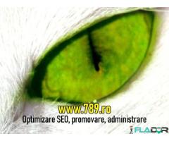 Optimizare SEO Timisoara, promovare site-uri