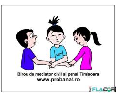 Mediator Timisoara spete civile si penale