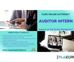 Curs online autorizat Auditor Intern