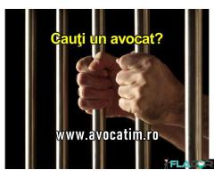 Avocat Timisoara – traducatori, mediatori, notari, executori, juristi...
