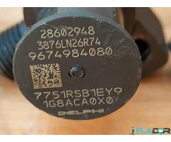 28602948 28388960 9674984080 DS7Q9F593BB Delphi Injector Citroen Ford DS  Peugeot 2.0 BlueHDi / TDCi