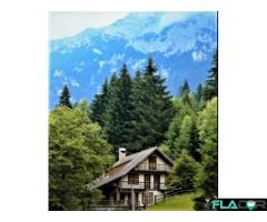 Vanzare Cabana Plaiul Foii, Zarnesti Brasov