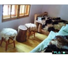 Vanzare Cabana Plaiul Foii, Zarnesti Brasov - Imagine 4/6