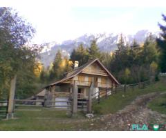 Vanzare Cabana Plaiul Foii, Zarnesti Brasov - Imagine 5/6