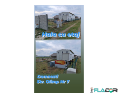 HALA NOUA si teren vanzare Domnesti -oferta speciala!
