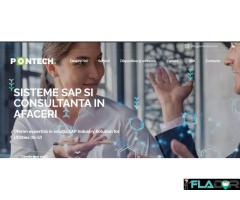 Sisteme SAP si Consultarea in afaceri